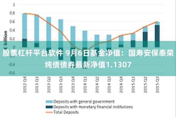 股票杠杆平台软件 9月6日基金净值：国寿安保泰荣纯债债券最新净值1.1307