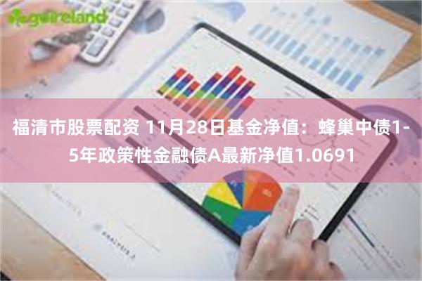 福清市股票配资 11月28日基金净值：蜂巢中债1-5年政策性金融债A最新净值1.0691