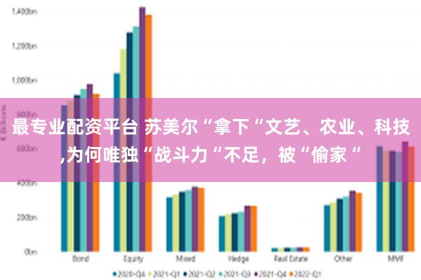 最专业配资平台 苏美尔“拿下“文艺、农业、科技,为何唯独“战斗力“不足，被“偷家“