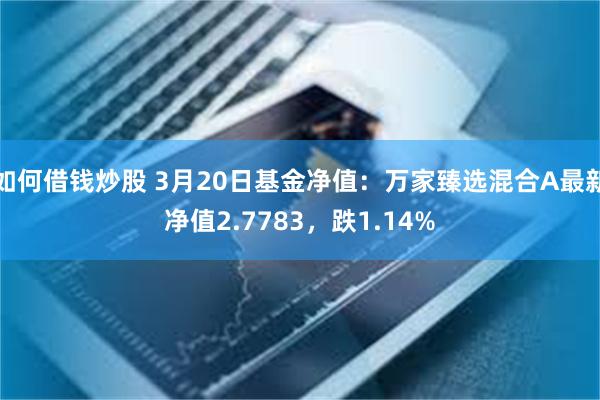 如何借钱炒股 3月20日基金净值：万家臻选混合A最新净值2.7783，跌1.14%