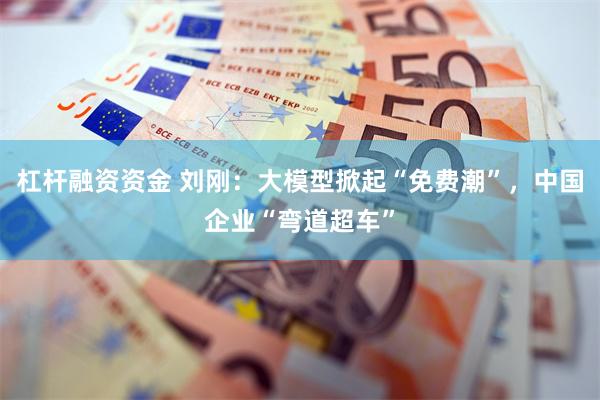 杠杆融资资金 刘刚：大模型掀起“免费潮”，中国企业“弯道超车”