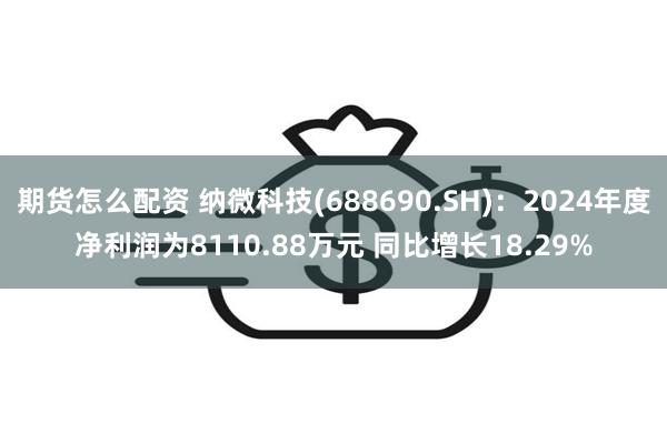 期货怎么配资 纳微科技(688690.SH)：2024年度净利润为8110.88