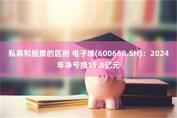 私募和股票的区别 电子城(600658.SH)：2024年净亏损15.8亿元